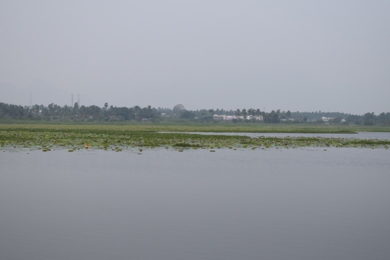 https://rsis.ramsar.org/RISapp/files/42284033/pictures/Suchindram-Theroor-photo.jpg