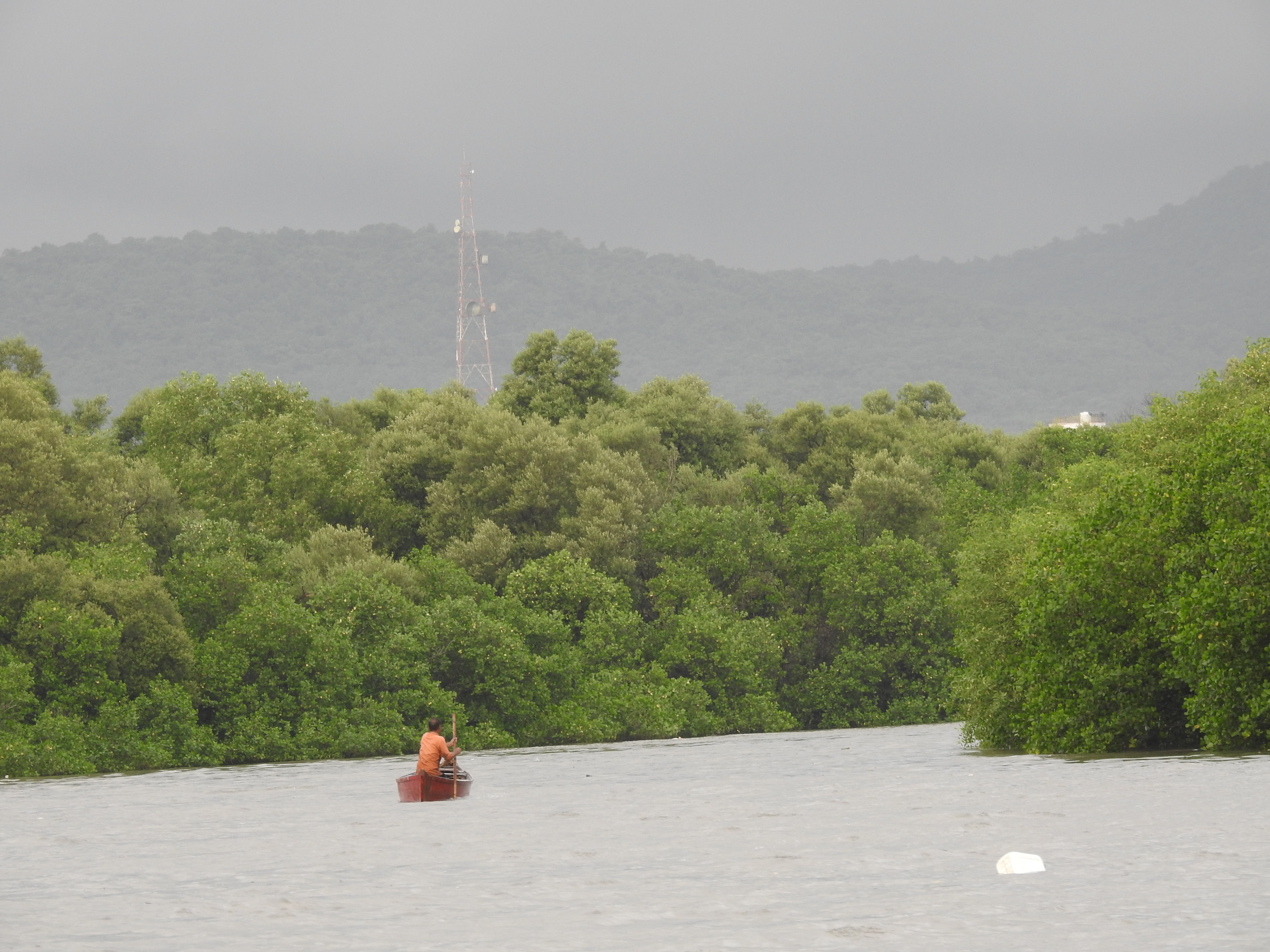 https://rsis.ramsar.org/RISapp/files/4831683/pictures/Mangroves%2019-06-2021%20(3).JPG