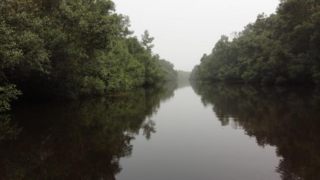 Traversée Parc National d'Azagny 