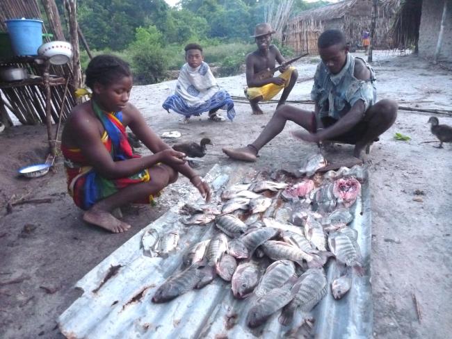 Ressources en poisson d'eau douce du lac Ambondrobe
