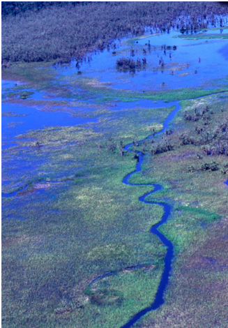 Aerial view of the Parado Lagoon, Guaratuba Environmental Protection Area, Paraná state, Brazil. Photo: Roberto Bóçon.