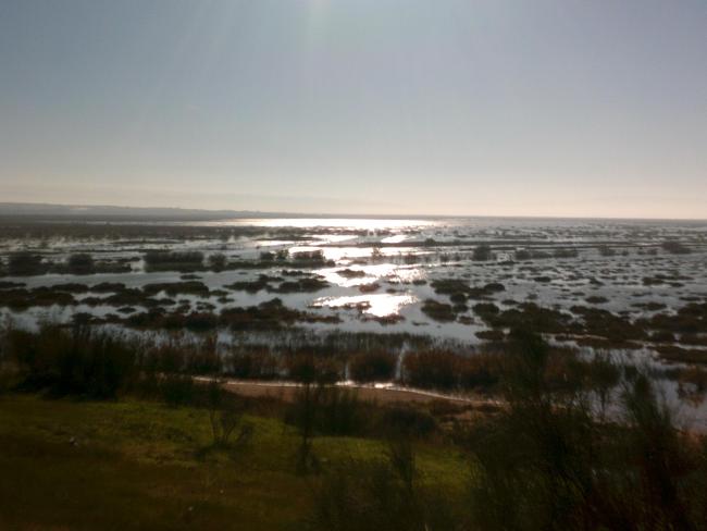 Marais de la Macta