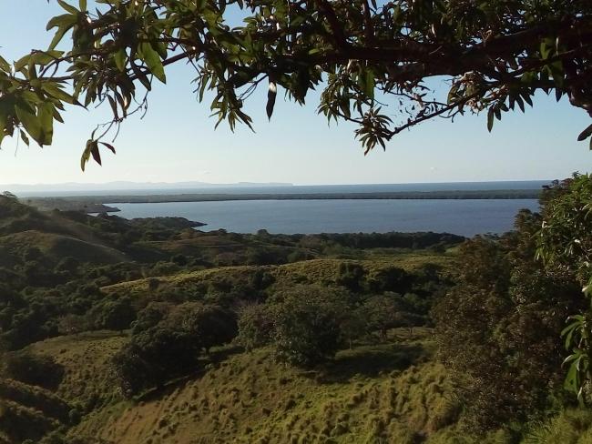 Esta imagen muestra la Laguna Limón, es un humedal de agua dulce, que tiene conectividad con el Caño Celedonio
