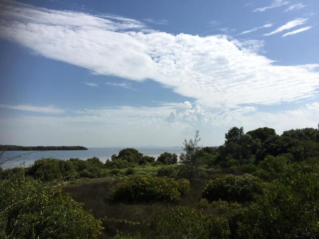 Towra Point Ramsar site