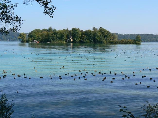 Resting birds round the Roseninsel in the northern part of lake Starnberg
