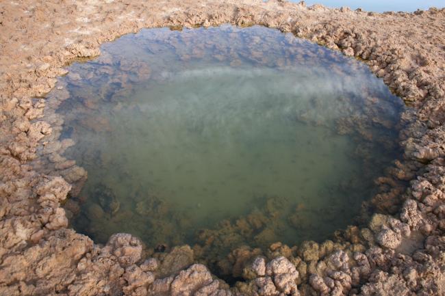 Imlili _ Poche d'eau limpide avec poissons
