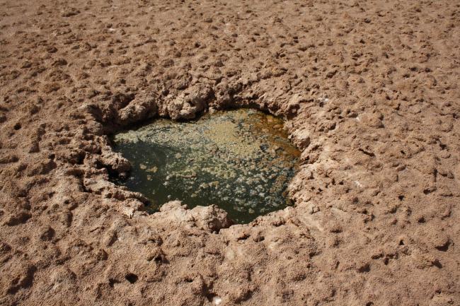 Imlili _ Poche d'eau sans poissons présentant un développement algual à la surface