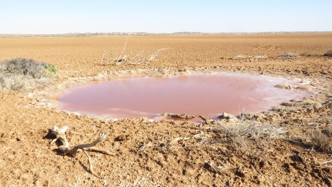 Imlili _ Poche d’eau montrant une forte cristallisation du sel 