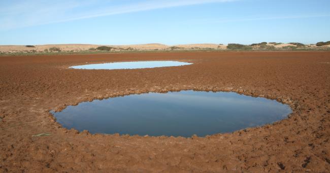 Imlili _ Poches d'eau et substrat sableux autour