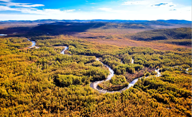 Wetland landscape