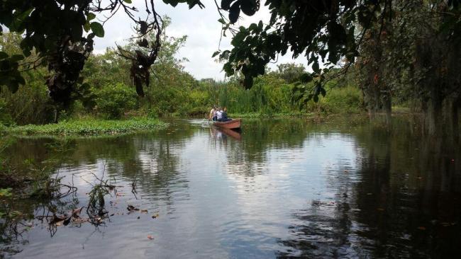 Madre Vieja La Marina Ramsar Laguna de Sonso