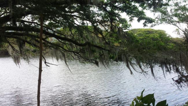 Madre Vieja Videles Ramsar Laguna de Sonso