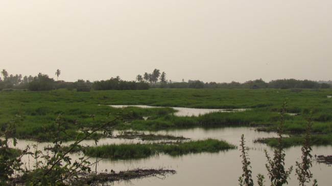Plaine inondable de la riviere So dans la Commune de So-Ava. Site d'accueil des oiseaux d'eau migrateurs