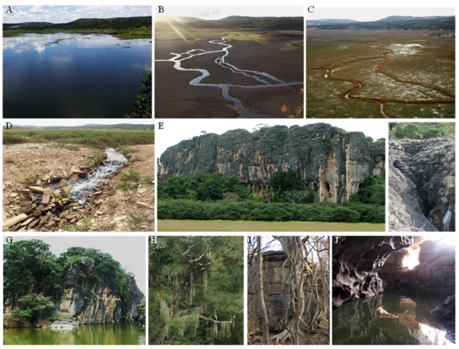A, B, C) Sumidouro Lake in diferent seasons, D) sinkholes of the Sumidouro Lake, E) Limestone massif of the Cerca Grande State Park and archaeological site, F) Canyon in the Baú Cave limestone, G) Flooded doline in Cerca Grande, H) Lush forest, I) trunk and roots of a dry forest tree. J) Lapa Vermel