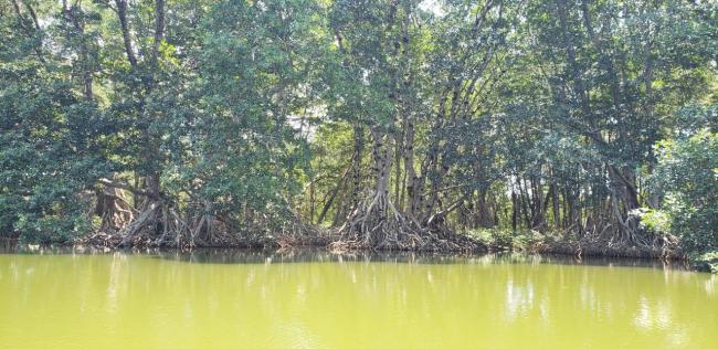 Parque Nacional Jeanette Kawas 