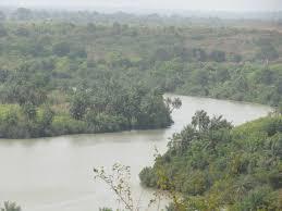 Fleuve tinkisso