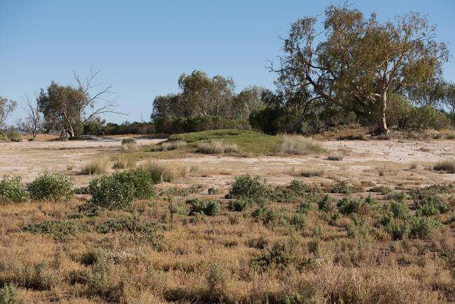 Paroo Mound Spring