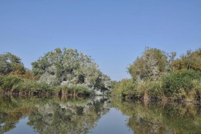 Archipelago Velyki and Mali Kuchugury