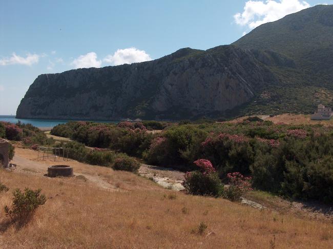Ripisylve de Oued Marsa