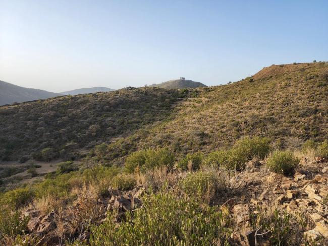 dry slopes surrounding the wetland