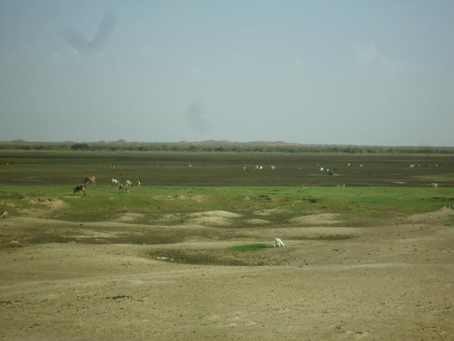 Photo 2 : Vue panoramique du paysage dans le bassin versant de la mare d'Oursi