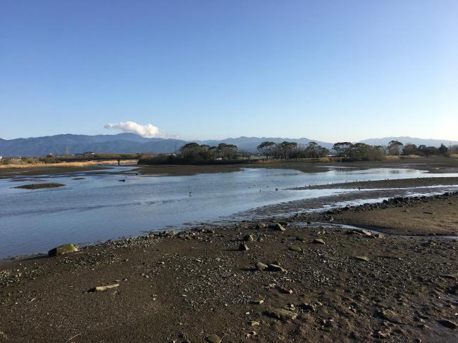 The Takaono River estuary:
Tidal flats with sand and mud deposits are inhabited by many organisms, including birds. 