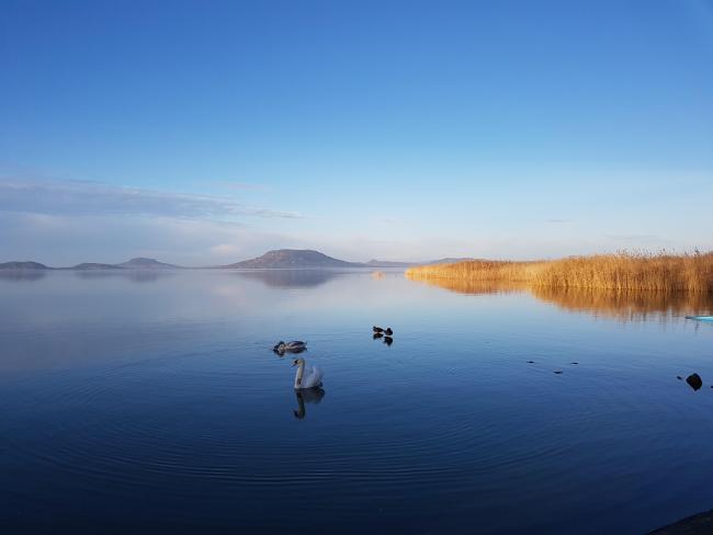 Lake Balaton with the volcanic hills in the background.