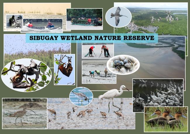 Collage photos of SWNR at your service