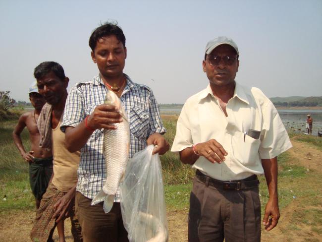 Fish catch in Ansupa lake