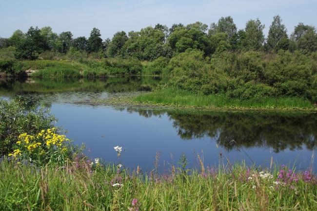 Desna River Floodplain