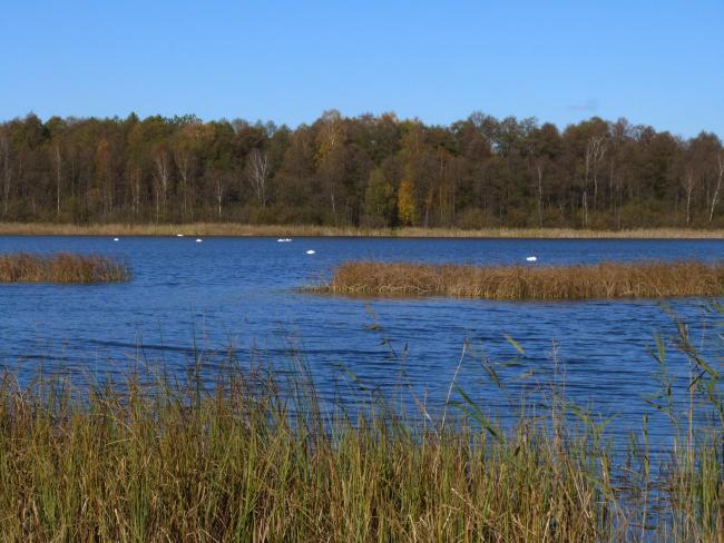 Lake Somynets
