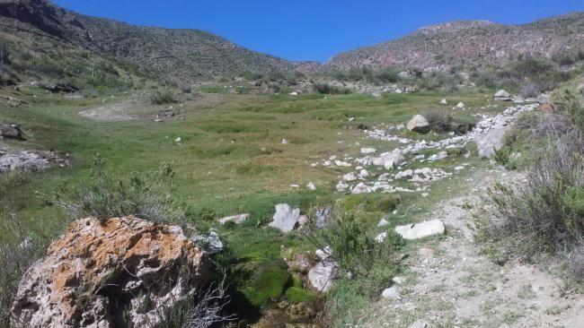 Reserva Natural Villavicencio