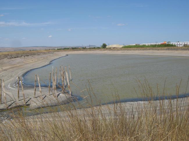 Atanasovsko Lake - near the north part of the Atanasovsko Lake, next to the Salt Pans