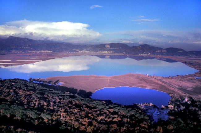 Massaciuccoli lake and marshland – Massaciuccoli Ramsar Site