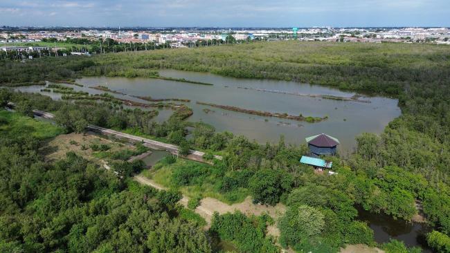Brackish water marsh and canal system