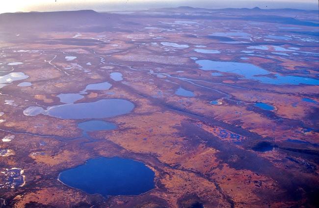Sistemas lagunares en turbera de Sphagnum magellanicum, zona Lago Bueno
