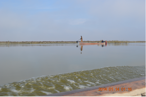 AL-Hammar marsh/ Al-Mashab/ Basra