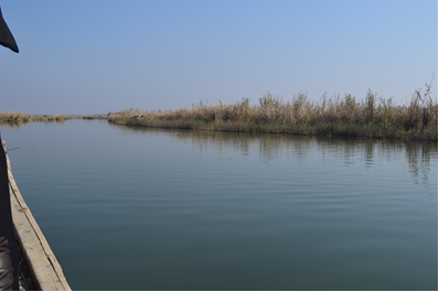 AL-Hammar marsh/ Al-Kermashyah/ Al-Nasisiryah