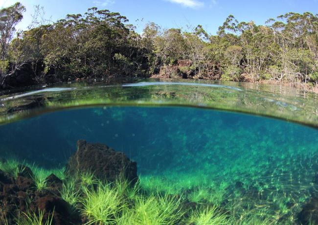 Doline de la plaine des lacs