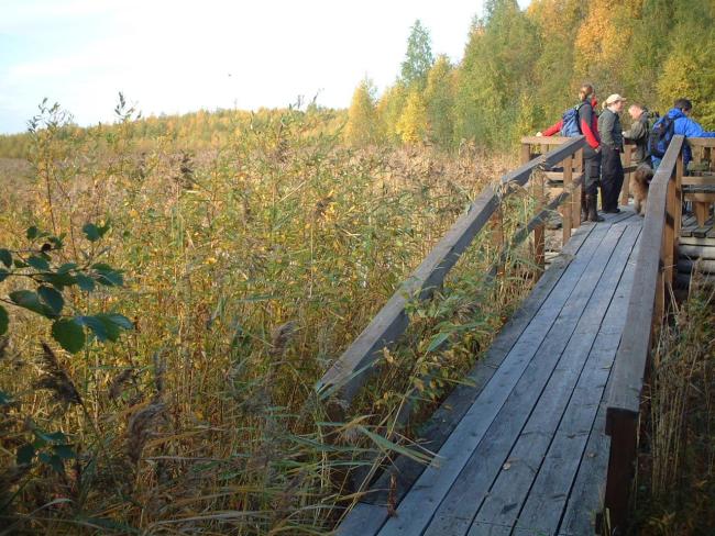 Gammelstadsvikens nature reserve, viewing point