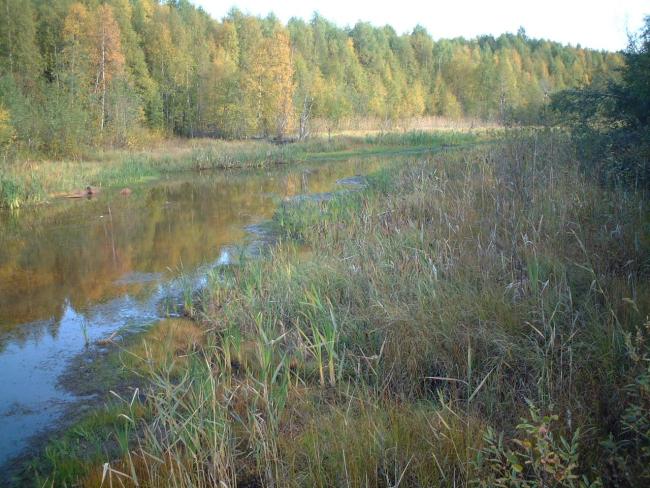 Gammelstadsvikens nature reserve