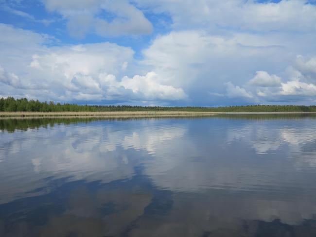 Gammelstadsviken nature reserve