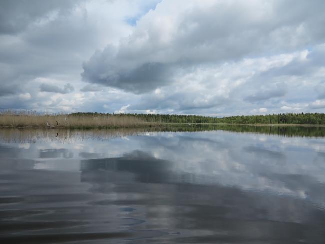 Gammelstadsvikens nature reserve