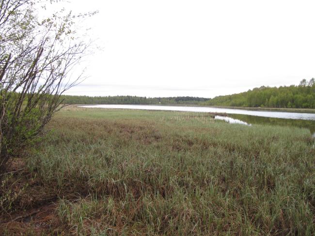Gammelstadsvikens nature reserve