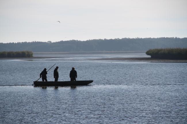 Fishermen in Milicz Fishponds