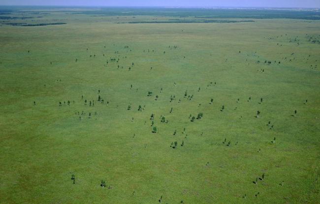 Ławki Marsh
