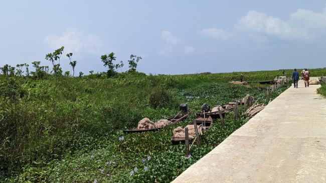 Ebute Oni Coastal Wetland