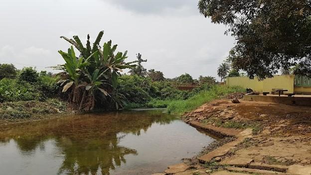 A view of Yemoji Lake