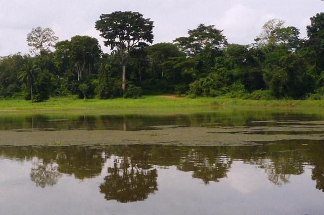 View of the lake