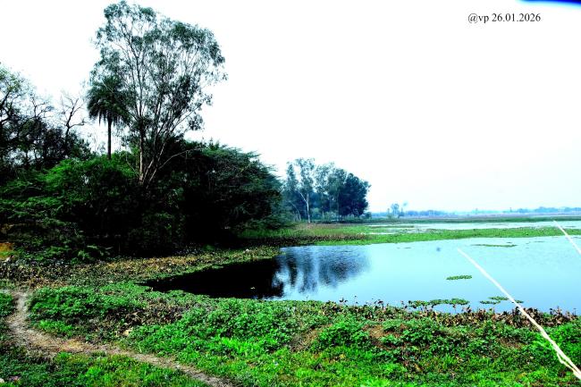 Sauj Jheel